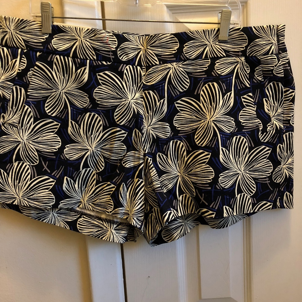 J Crew Shorts (Navy) NWT